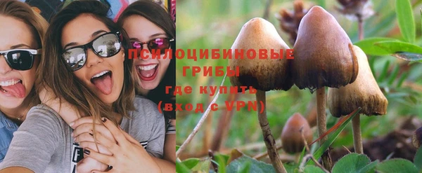 прущий лед Магас